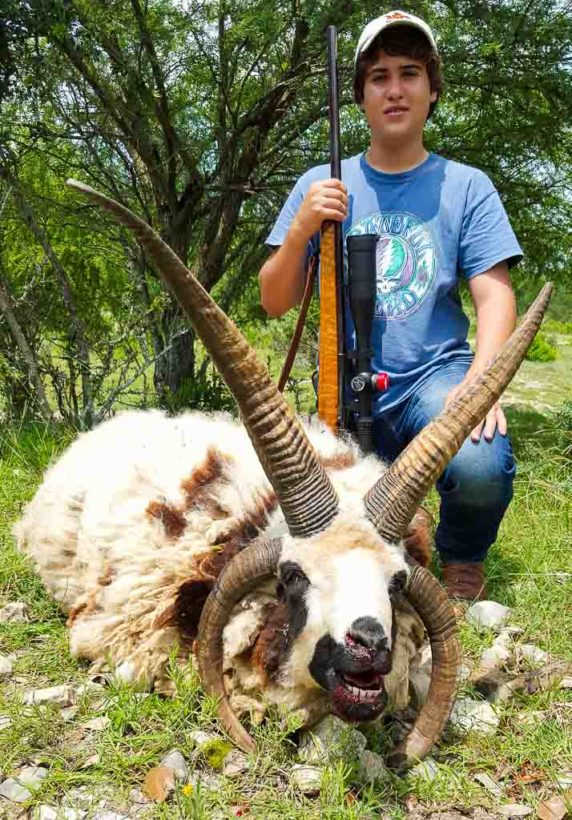 Youth Four Horned Sheep Hunting OX Ranch