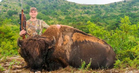 Buffalo Hunting | 60+ Available Hunt | OX Ranch -