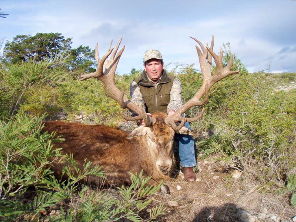 red-stag-hunting-texas - OX Ranch