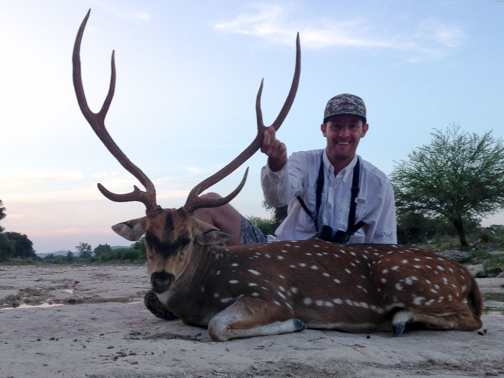 texas-axis-deer-hunting - OX Ranch