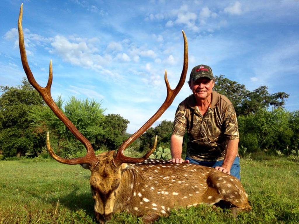 texas hill country axis deer hunts