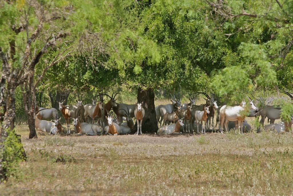 T Brinks Fishing: Culling With Conservation in Mind