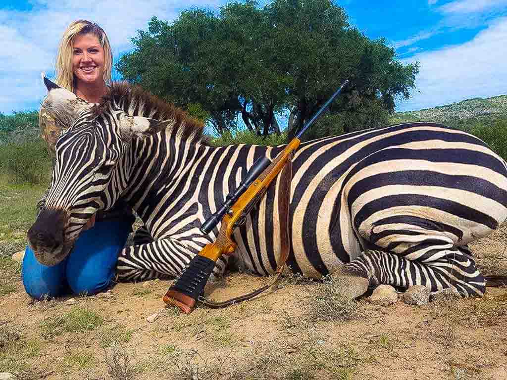 texas zebra hunts - OX Ranch